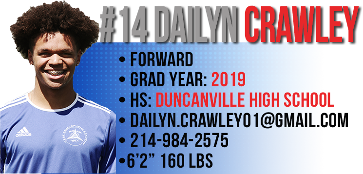 14 dailyn 14 dailyn